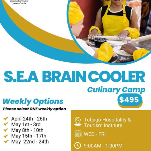 S.E.A Brain Cooler Culinary Camp